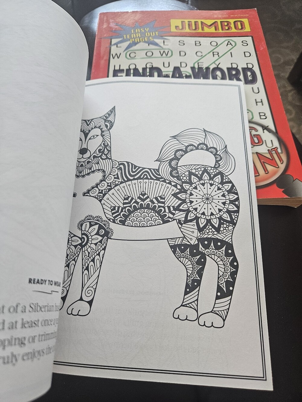 DOG Coloring Book - Multicolor - Picture 5 of 7